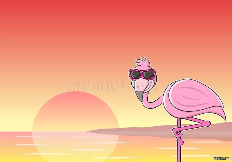 Солянка от 28.07.2020