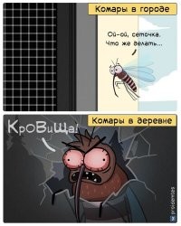 Прикольные и смешные картинки