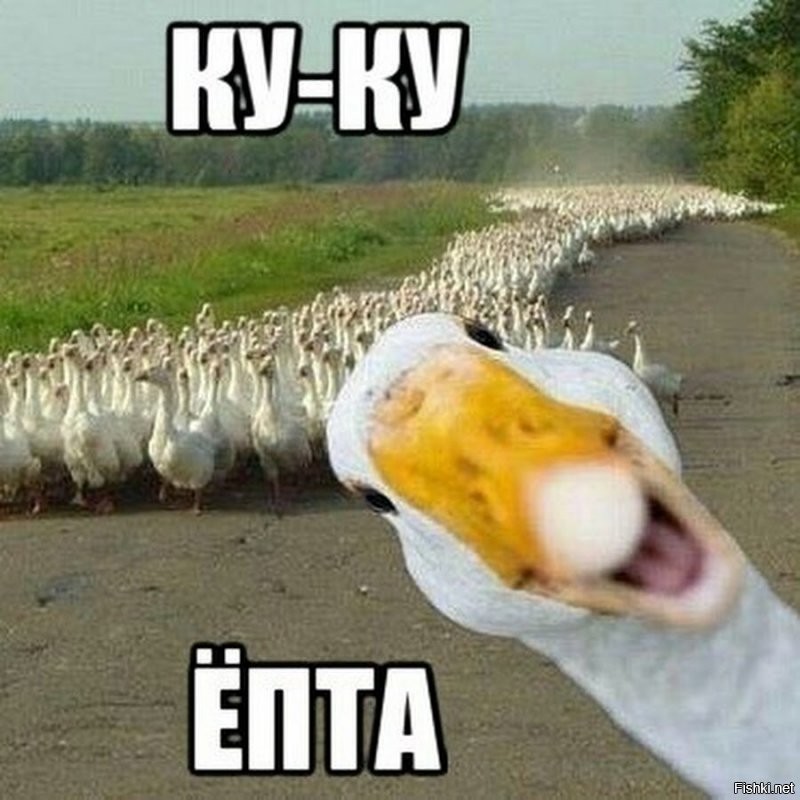 Солянка от 28.07.2020