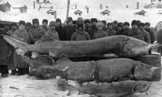 На Волге 1924.