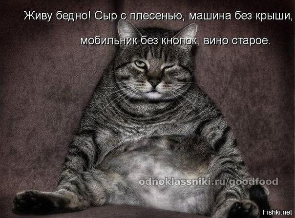 Солянка от 28.07.2020