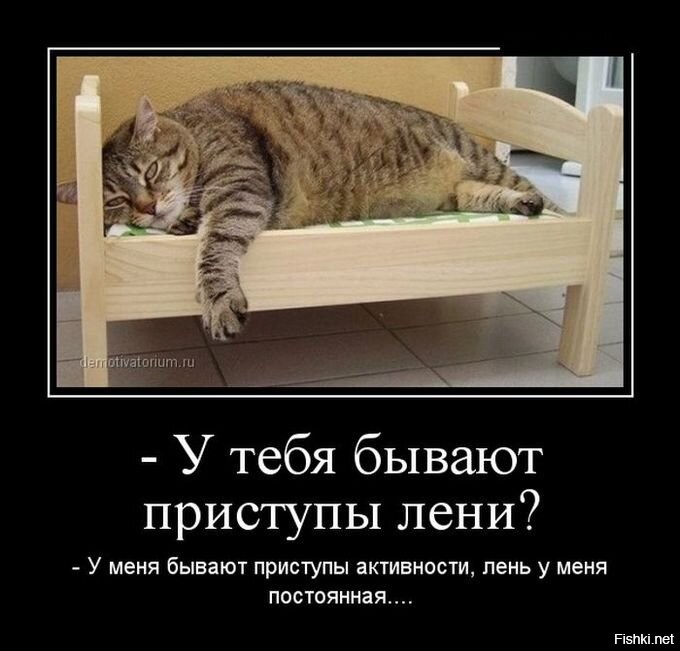 Солянка от 28.07.2020