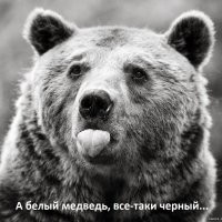 Прикольные и смешные картинки