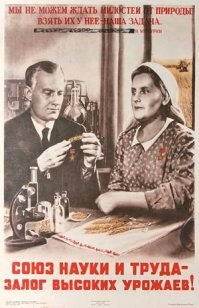 Российские селекционеры вывели первый гипоаллергенный сорт арбуза со странным вкусом