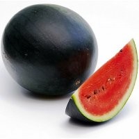 Российские селекционеры вывели первый гипоаллергенный сорт арбуза со странным вкусом