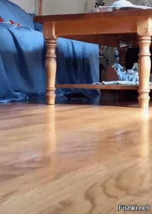 Солянка от 28.07.2020