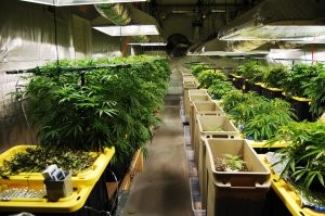 25&nbsp;крутых «мужских берлог», в&nbsp;которые запрещён вход женщинам
