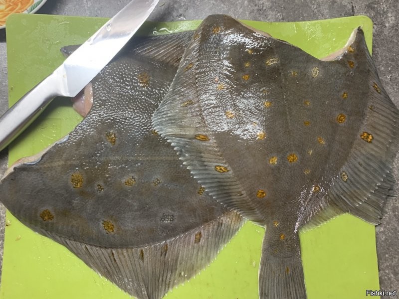 Солянка от 29.07.2020