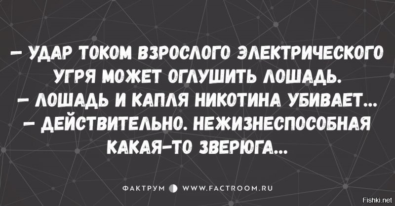 Солянка от 29.07.2020