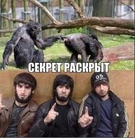 Почему шимпанзе кидаются своими кучками?