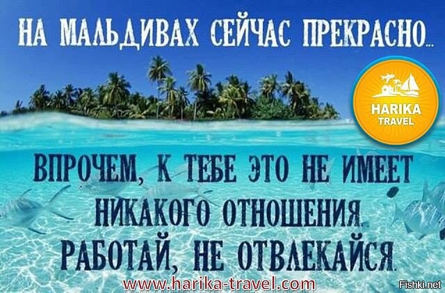 Солянка от 29.07.2020