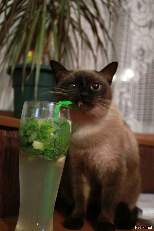 За такие деньги я бы опасался