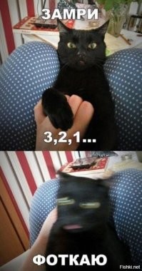 15 веселых фото с убойным задним планом