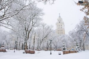 С Воронежем случился Воронеж