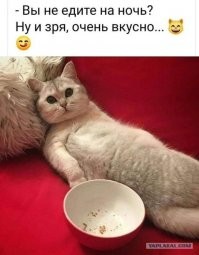 Прикольные и смешные картинки