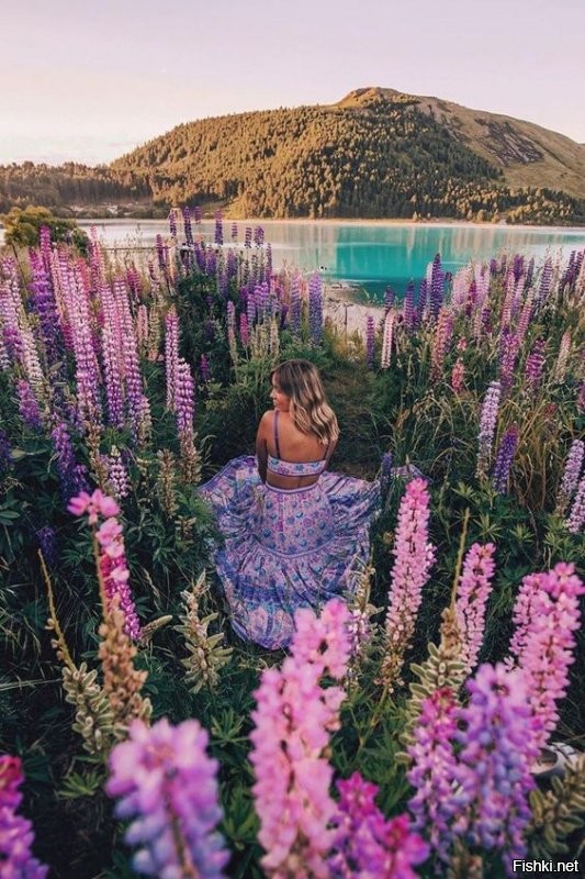 Волчий боб...