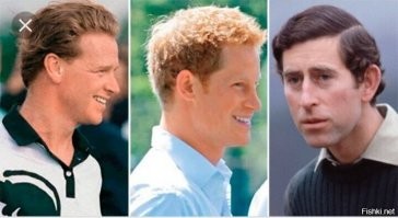 Принц Гарри никогда не будет королём, т.к. был зачат от конюха. И это факт, т.к. была генетическая экспертиза, именно поэтому ему и было позволено жениться на чёрной.