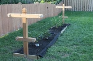 Уголовно наказуемо? Интересно по какой статье УК?