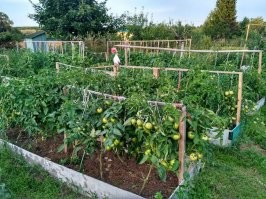 обычно так подвязывают помидоры, но конструкции куда более хлипкие