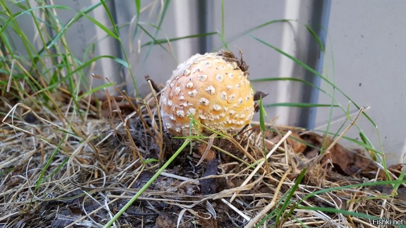 Мой сегодняшний улов
