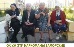 Инопланетная архитектура Нидерландов: Bolwoningen