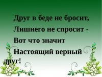 Прикольные и смешные картинки