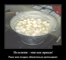 Образ пельменей в демотиваторах