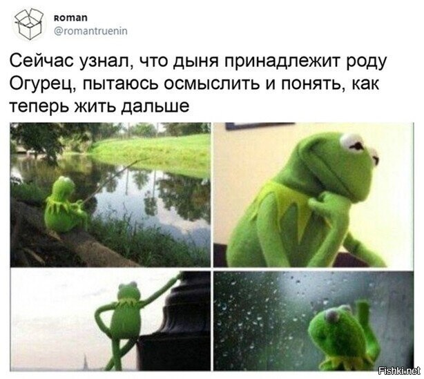 Солянка от 30.07.2020