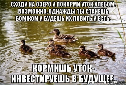 Солянка от 30.07.2020