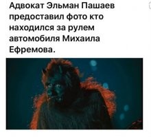 «Михаила Ефремова не было за рулем во время аварии»