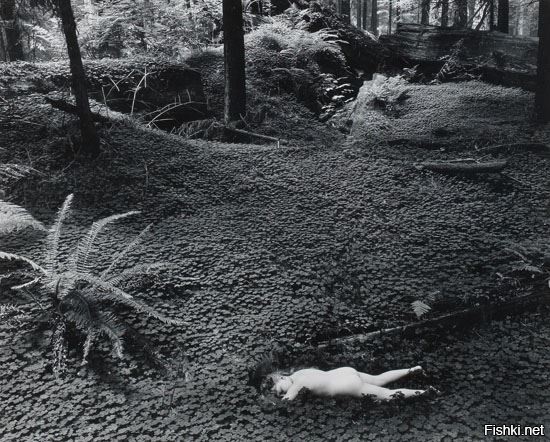 Винн Баллок 1955
Монтерей Калифорния???