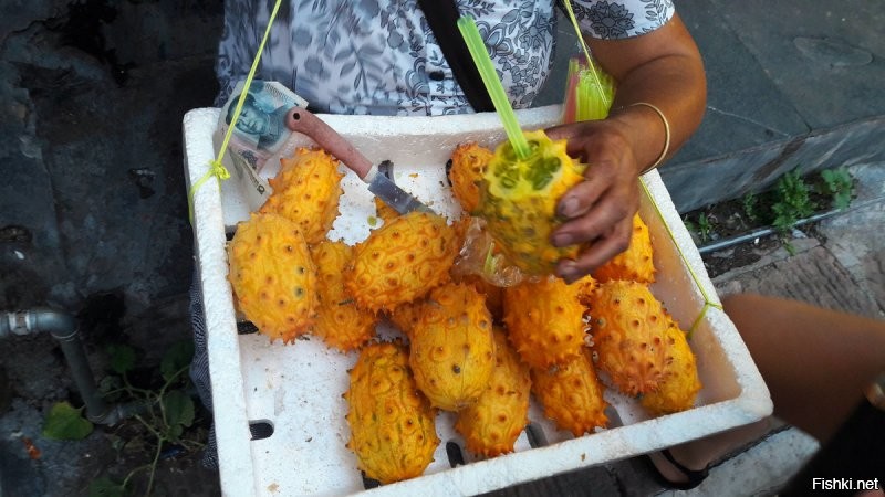 Африканский, или антильский, огурец, рогатая, или желейная, дыня- кивано...