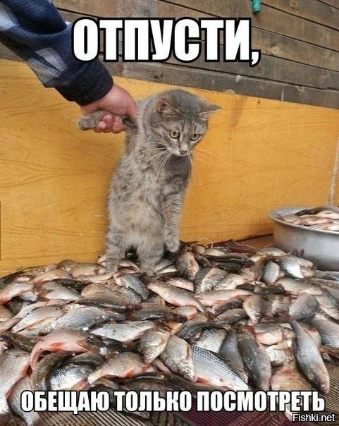 Солянка от 30.07.2020