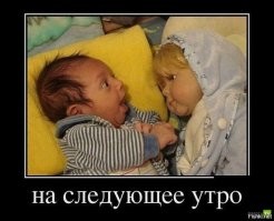 Прикольные и смешные картинки