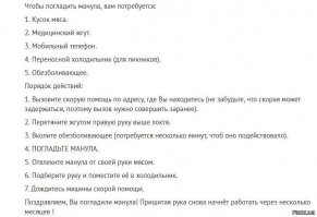 Ягуар украл у рыбаков часть улова