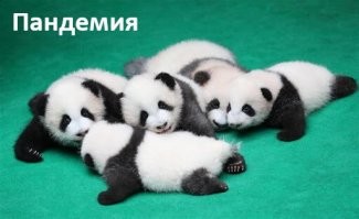 Игра слов на максималках 