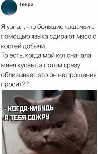 Прикольные и смешные картинки