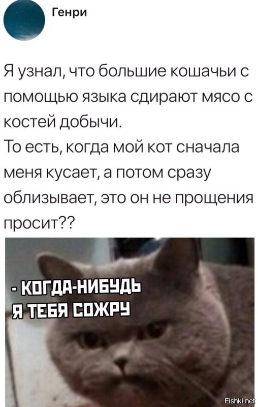 Прикольные и смешные картинки