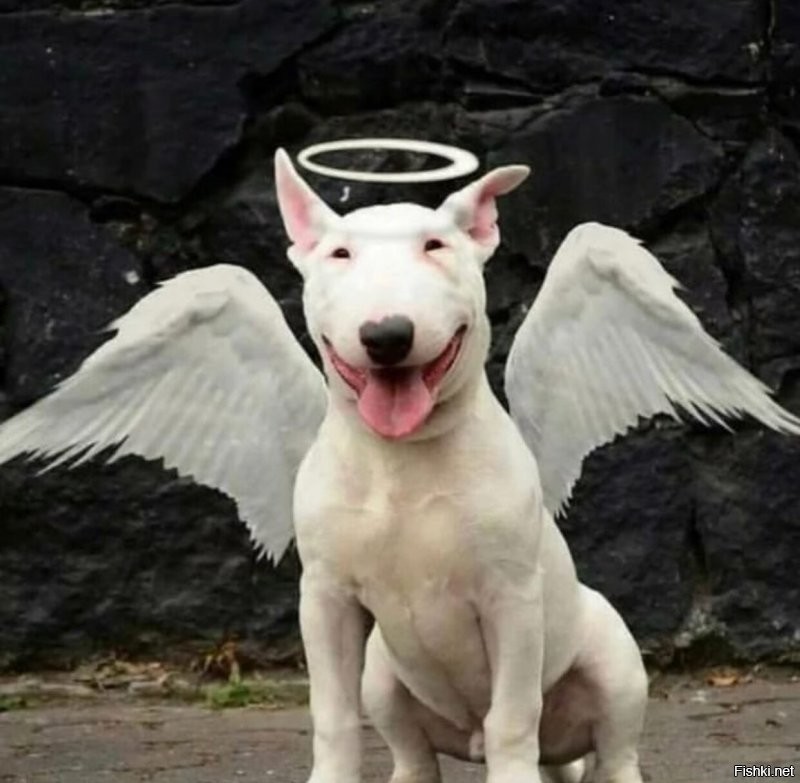 Солянка от 31.07.2020