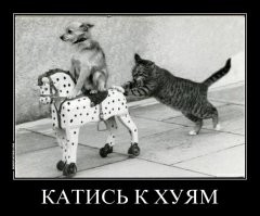 Прикольные и смешные картинки