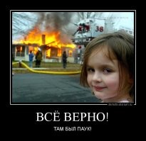 Жительницы одного из российских регионов были атакованы и укушены ядовитым жёлтым саком