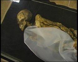 аффтар совсем ни с чем не дружит? на Ваших фото вовсе не "алтайская принцесса", а мумия мужчины-пазырыкца. вот "алтайская принцесса":