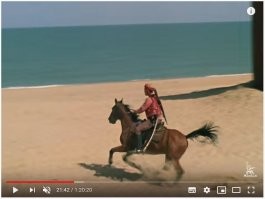 Кстати, это он привёл жён Абдулы к берегу моря, после чего подъехал к баркасу верхом на лошади. Но, вполне возможно, на лошади скакал каскадёр.