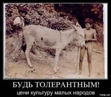 В Екатеринбург привезли две фуры баранов - местные жители недовольны