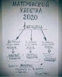 Неплательщик алиментов не захотел отдавать машину и прокатил пристава на капоте