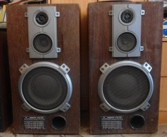 У отца такие были. Никогда их на полную громкость не включали. Уже на половине громкости дрожали стекла по всей квартире. 50 Вт.