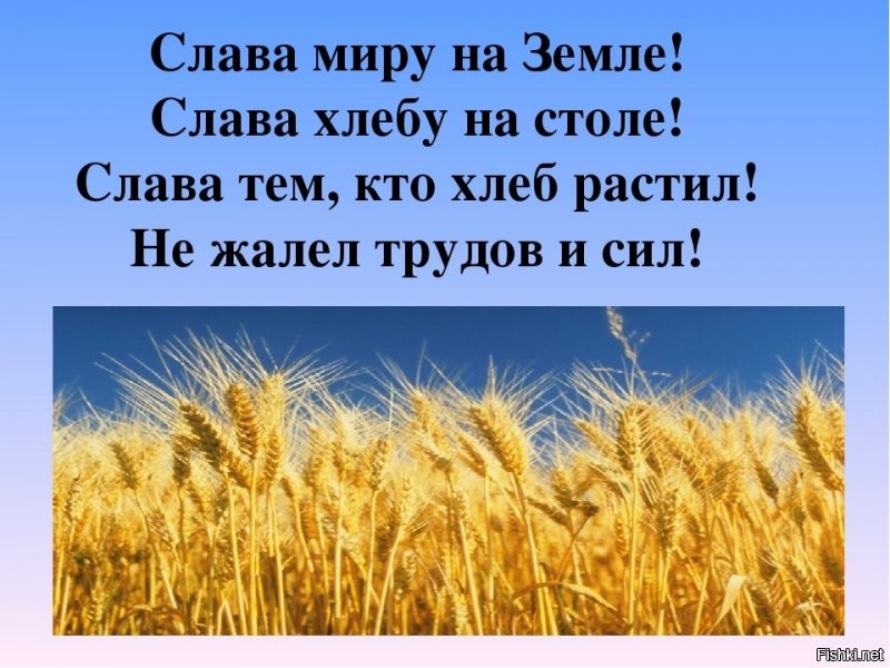 Уборочная 2020