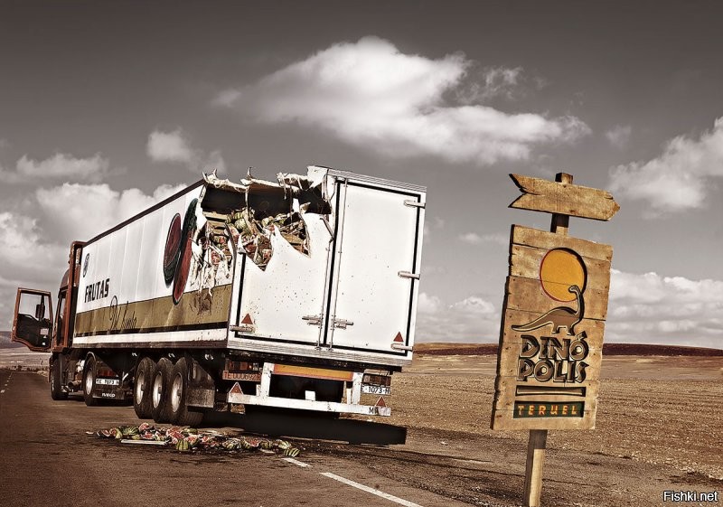 Кайман в Краснодаре