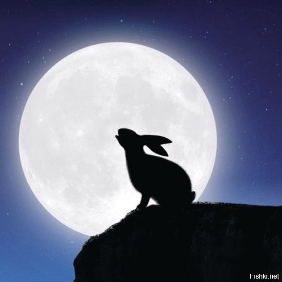 Солянка от 01.08.2020