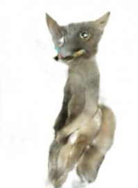 45 самых интересных сайтов для случаев, когда скучно